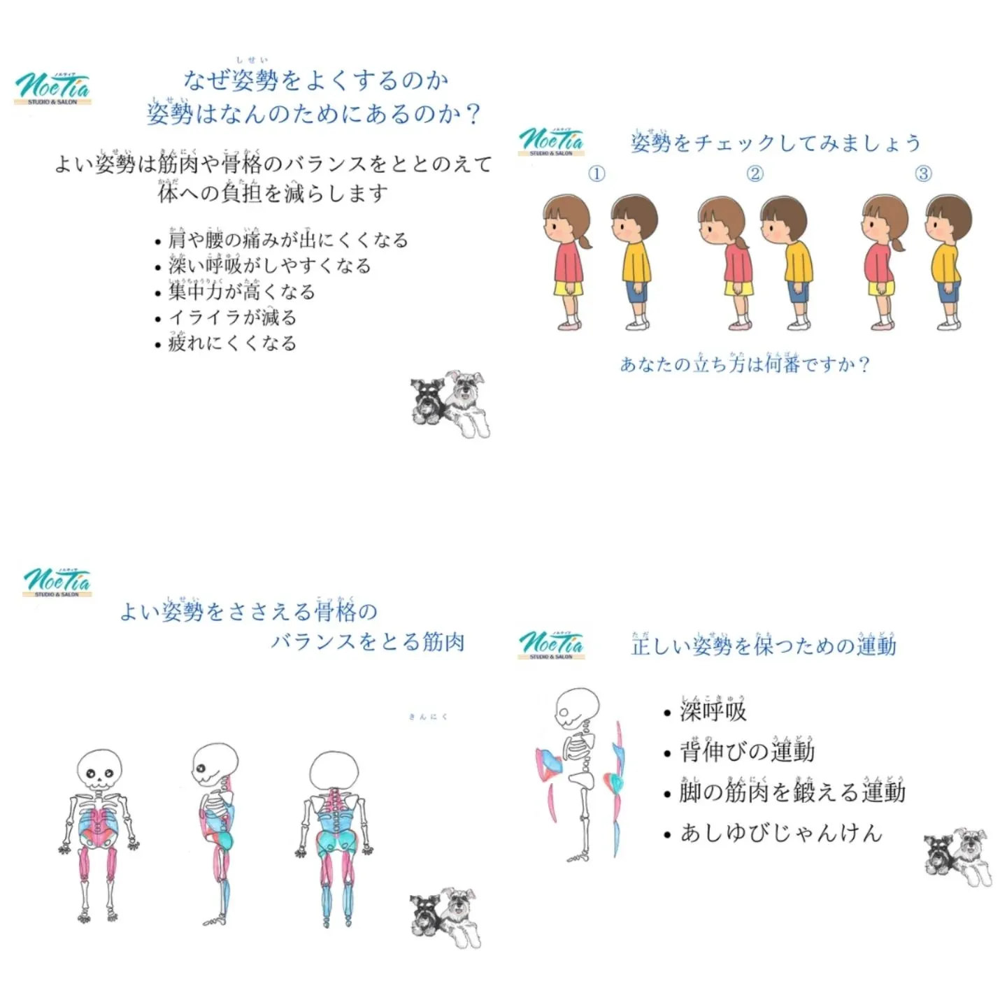 小学校で姿勢のお話をさせていただきました！