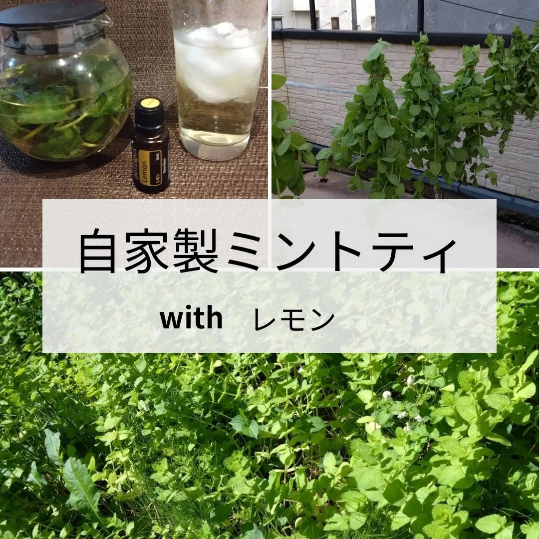 自家製ミントティwithレモン