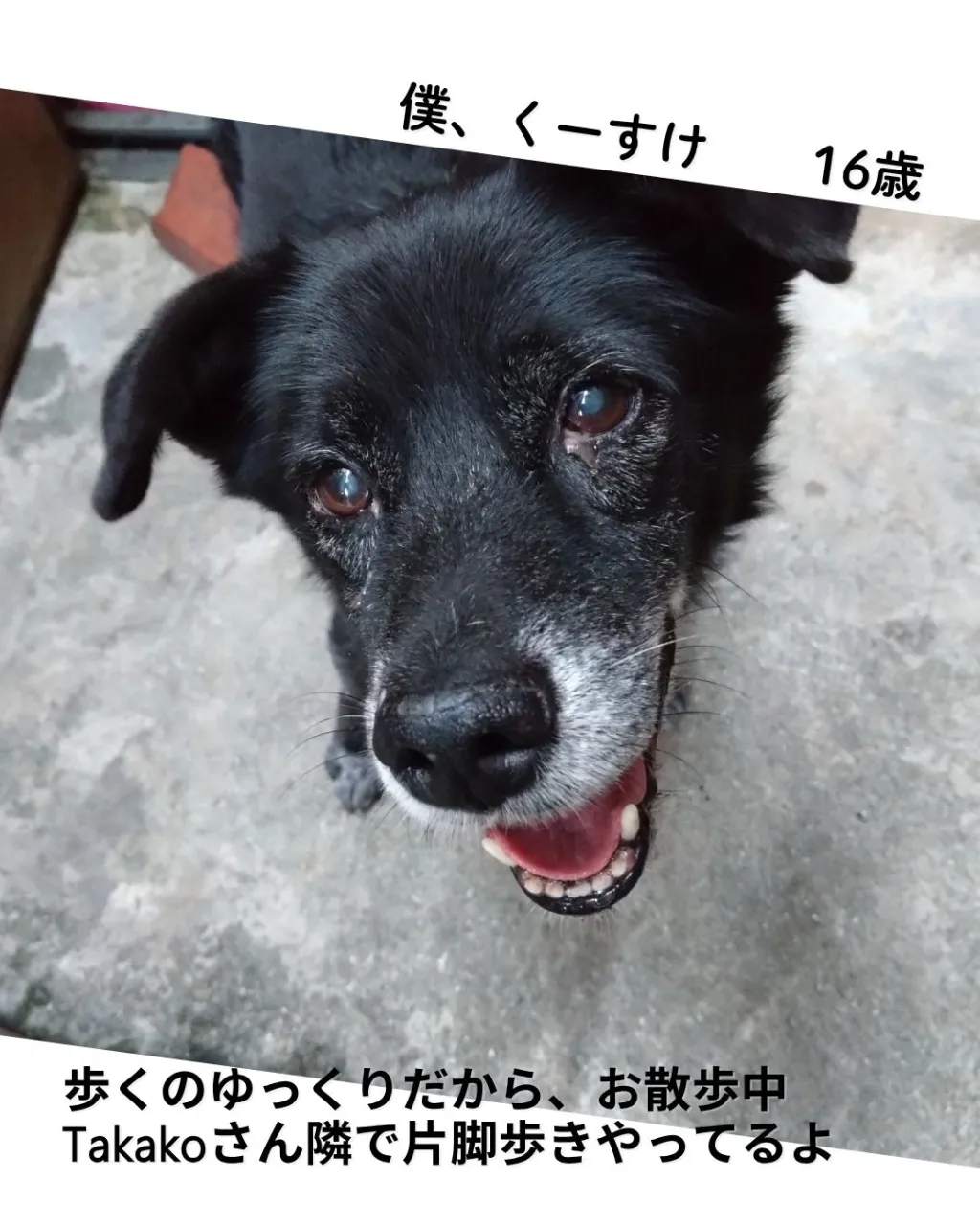 歩く筋トレ　片脚起立ウォーキング